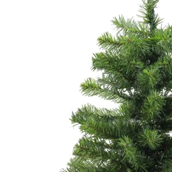 Northlight Medium Canadian Pine Artificial Christmas Tree - 2' - Unlit image {2}