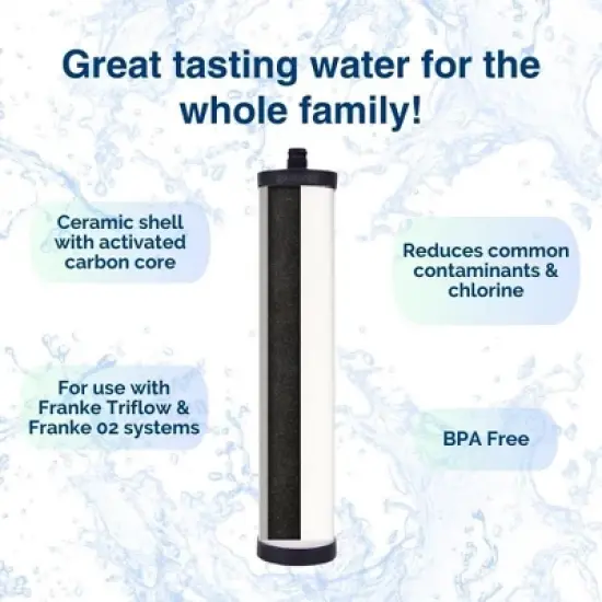 Doulton W9223021 UltraCarb Ceramic Water Filter Candle, White, Pack of 1 image {3}