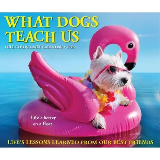 Willow Creek Press 2026 What Dogs Teach Us Box Calendar image {4}