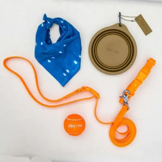 Collapsible Pet Bowl with Clip &ndash; Compact, Reusable and Easy to Clean - Tilley + Me image {3}