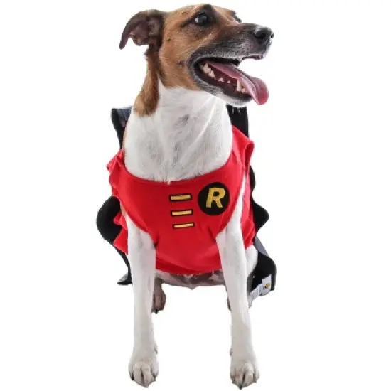 DC Comics Justice League Superhero Matching Family Costume Pajamas Union Suit image {21}