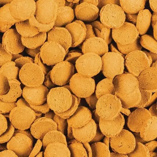 Tetra Wafers Complete Diet for Catfish and Loaches Shrimp Flavor Dry Fish Food - 3oz image {2}