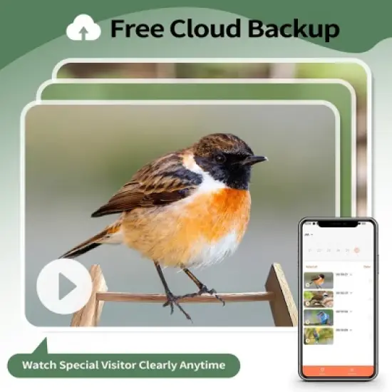 Sandinrayli Smart Bird Feeder with Camera, 1080P HD AI Identify Bird Watching Camera image {8}