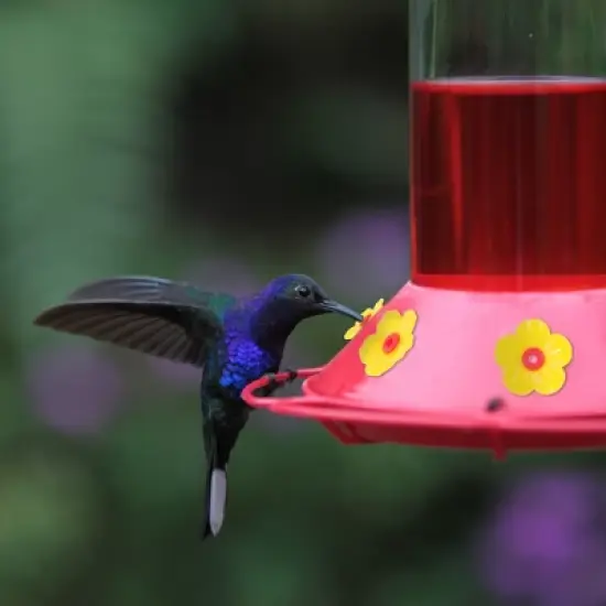 Unique Bargains Durable Hummingbird Feeder Parts 16 Pcs image {4}