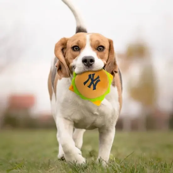 MLB New York Yankees Hamburger Toy image {2}