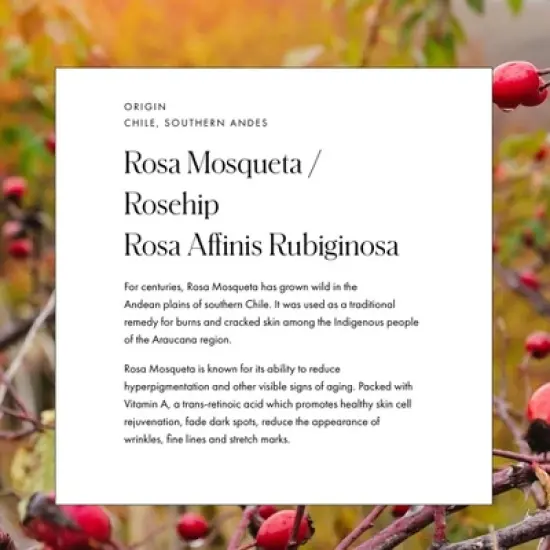 Vamigas Rosa Mosqueta and Aloe Face Mist - 3.38 fl oz image {3}