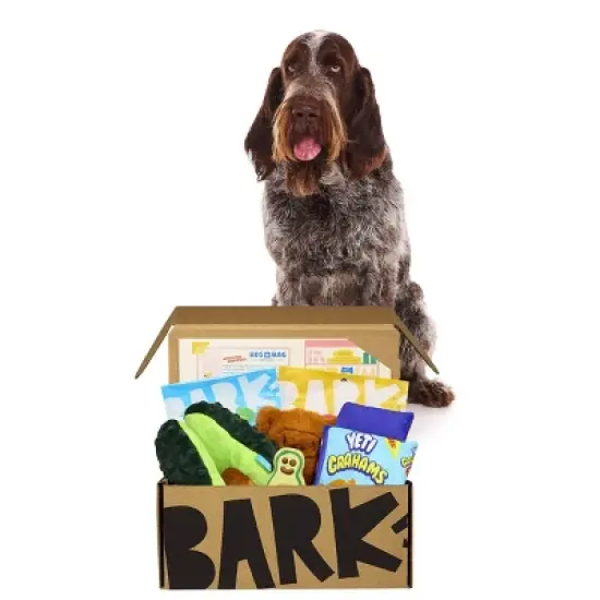 BARK Beg-n-Bag Large Box Dog Plush Toy Set - 5pc image {5}