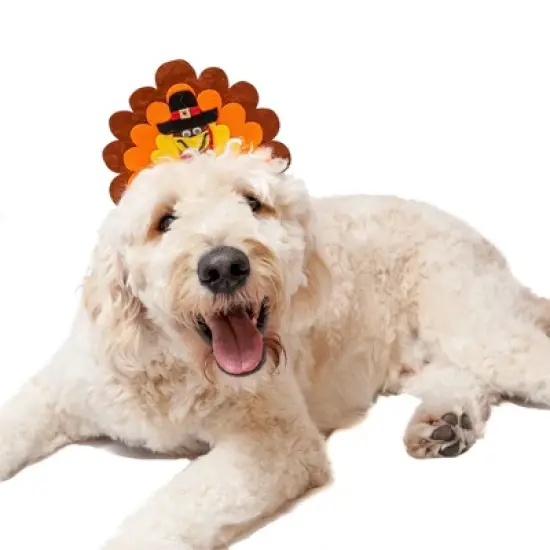 Midlee Turkey Dog Headband image {1}