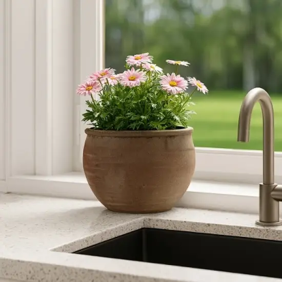 Rustic Wide Round Plant Pot for Indoor Plants or Outdoor - Traditional Clay Design That Adds Timeless Charm to Porch, Patio, or Entryway - 9" Brown image {11}