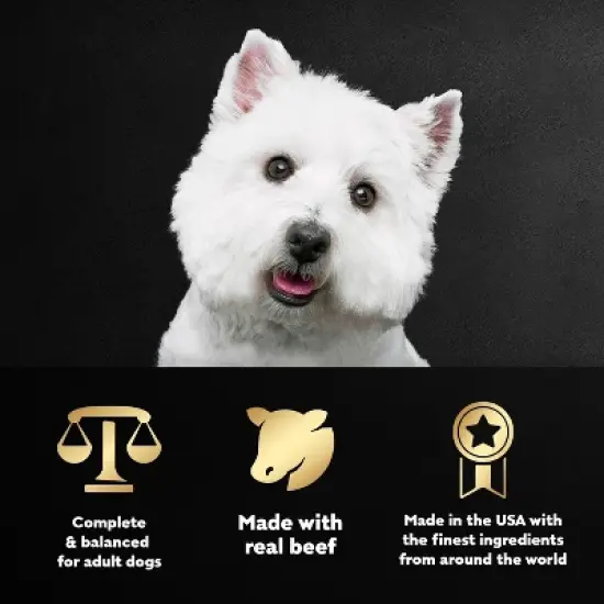 Cesar Filets in Gravy Variety Pack Small Breed Wet Dog Food - 3.5oz/12ct image {6}