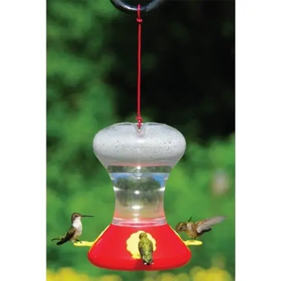 Songbird Essentials SEBCO360 Fliteline Hummingbird Bird Feeder image {2}