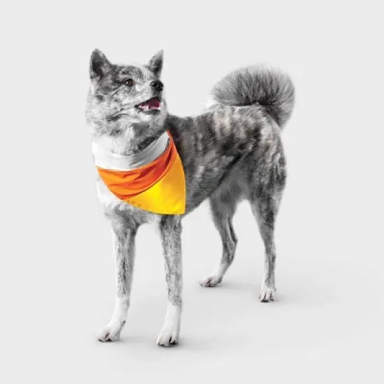 Reflective Candy Corn Costume Dog Bandana - Boots & Barkley&trade; One Size Fits Most image {4}