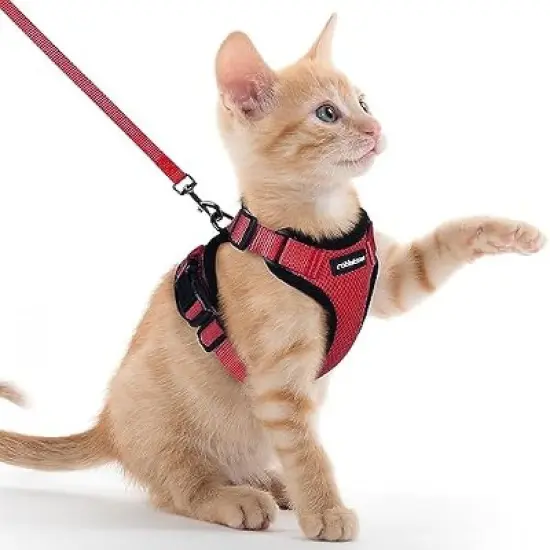 rabbitgoo Cat Harness and Leash for Walking image {7}