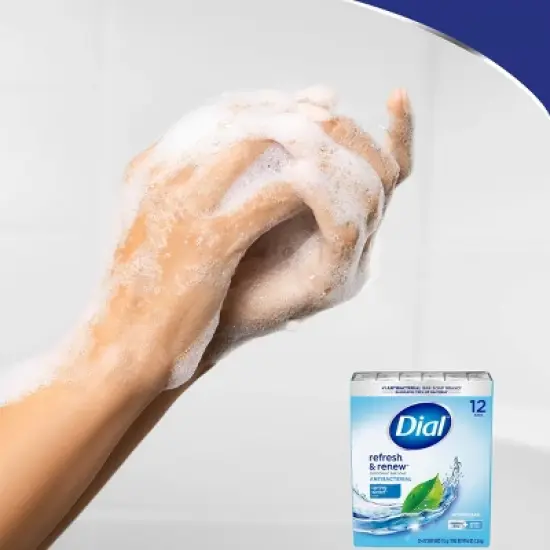 Dial Antibacterial Bar Soap - Spring Water - 4oz/32pk image {4}