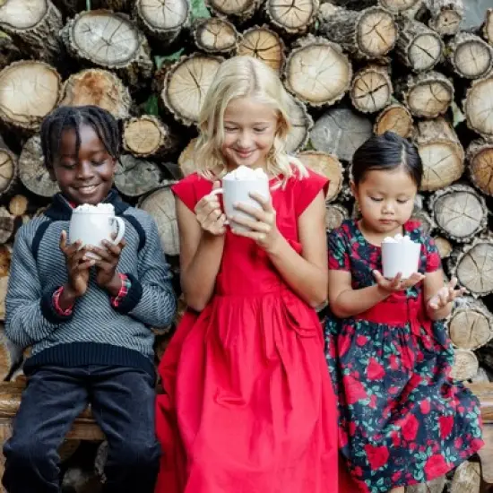 Hope & Henry Girls' Cap Sleeve Party Dress with Bow Sash, Toddler image {5}