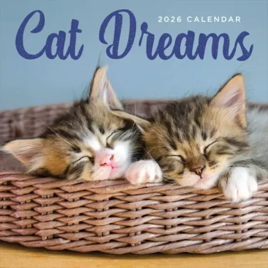 TF Publishing 13.5"x14.5" 2026 Cat Dreams Wall Calendar image {1}