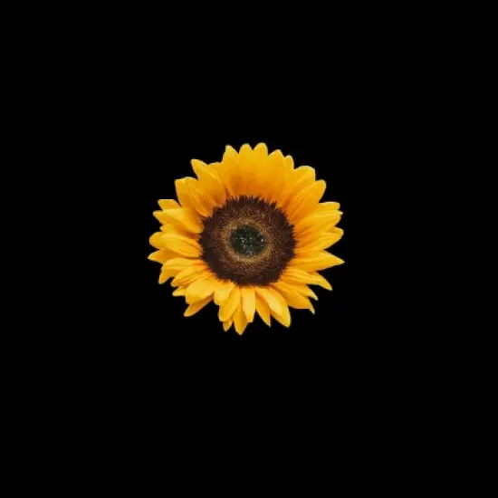 Junior's Design By Humans Mother's Day Sunflower Mom By FridayFusion T-Shirt image {1}