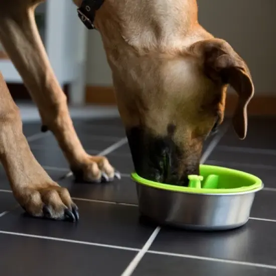 Mighty Paw Slow Feeder Lick Bowl | BPA-Free, Fun, Easy to Clean for Dogs image {2}