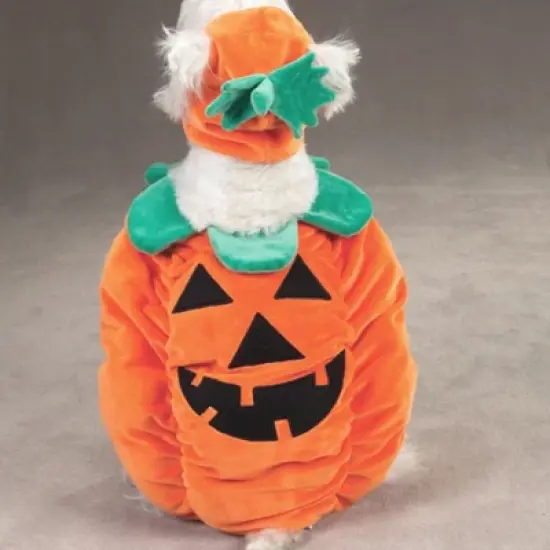 Zack & Zoey Pumpkin Pooch Dog Costume image {4}
