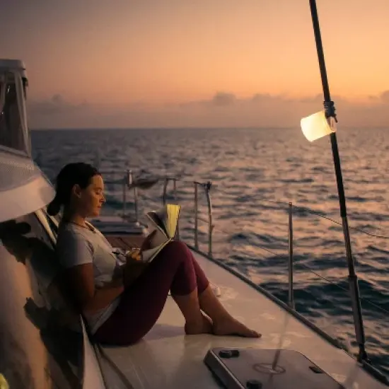 Luci Pro Series Lux Solar LED Outdoor Lantern White image {9}