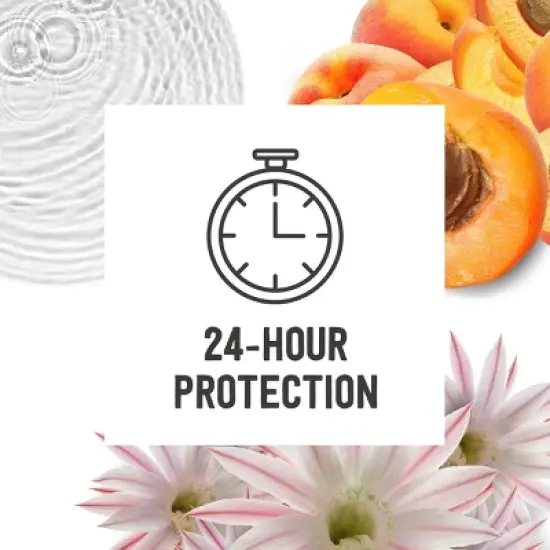 Schmidt's 24-Hour Natural Solid Deodorant - Woodsy/Earthy/Fresh Scent - 2.65oz image {4}