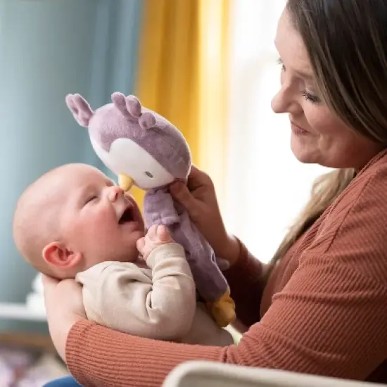 Ingenuity Bean Bag Lovey Crib Toy - Pink image {8}