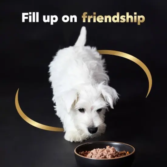 Cesar Classic Loaf in Sauce Chicken, Gravy and Beef Flavor Small Breed Puppy Wet Dog Food - 3.5oz image {4}