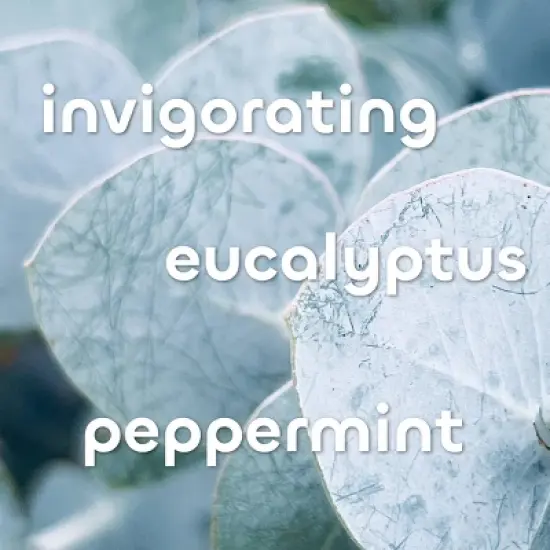 The Seaweed Bath Co. Hydrating Soothing Body Cream - Eucalyptus & Peppermint - 6 fl oz image {7}