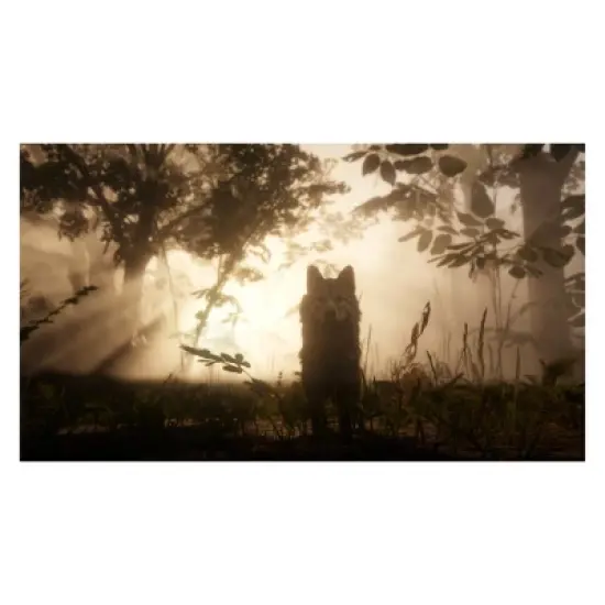 Red Dead Redemption 2 - PlayStation 4 image {12}