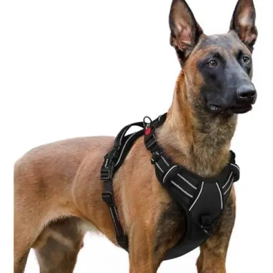 rabbitgoo Tactical Dog Harness image {3}