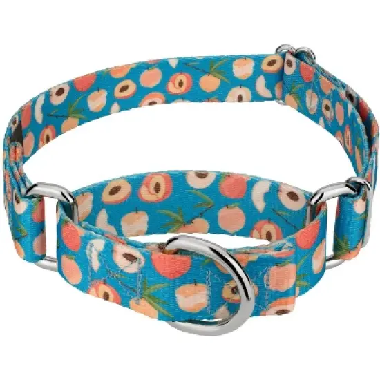 Country Brook Petz Peaches Martingale Dog Collar image {5}