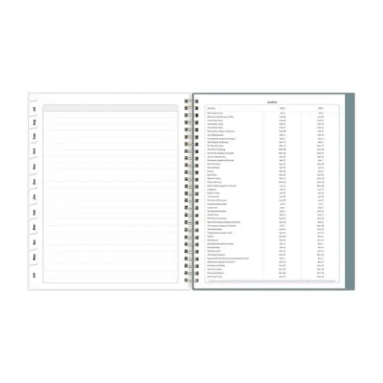 Blue Sky 7"x9" 2025-2026 Weekly/Monthly Wirebound Planner Clear Cover Langostino Stripe image {8}