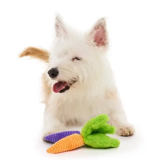 BARK Beg-n-Bag Small Box Dog Plush Toy Set - 5pc image {3}