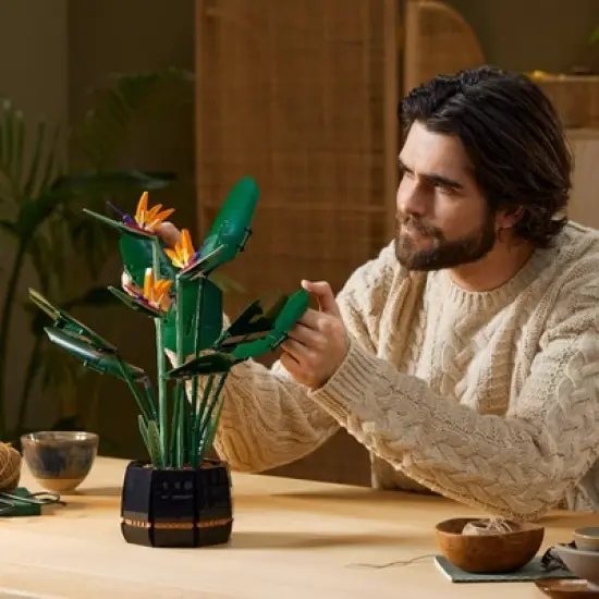 LEGO Icons Botanical Collection Bird of Paradise Set 10289 image {2}