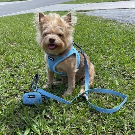 Voyager Reflective Dog & Cat Nylon Leash for All Breeds image {4}