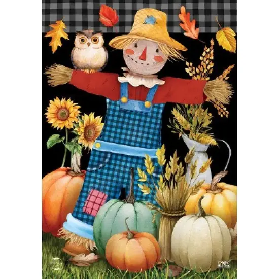 Briarwood Lane Fall Garden Flag 12x18 For Outdoor Friendly Scarecrow For Fall Garden Flag Flags For Outside image {2}