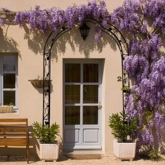 Lirago Metal Garden Arch with Double Gate Black Powder Coated Steel Trellis for Climbing Plants 99"H * 59"W * 15.3"D image {2}