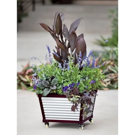 Galvanized Self-Watering Planter Square, Short image {2}