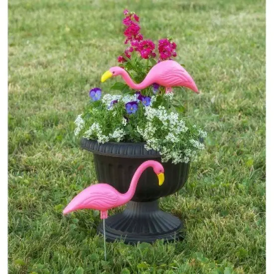 2pk - 11" Mini Mingo - Bloem image {9}