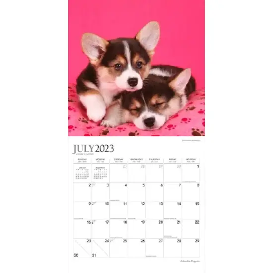 Plato 2023-2024 Wall Calendar 12"x12" Adorable Puppies image {2}