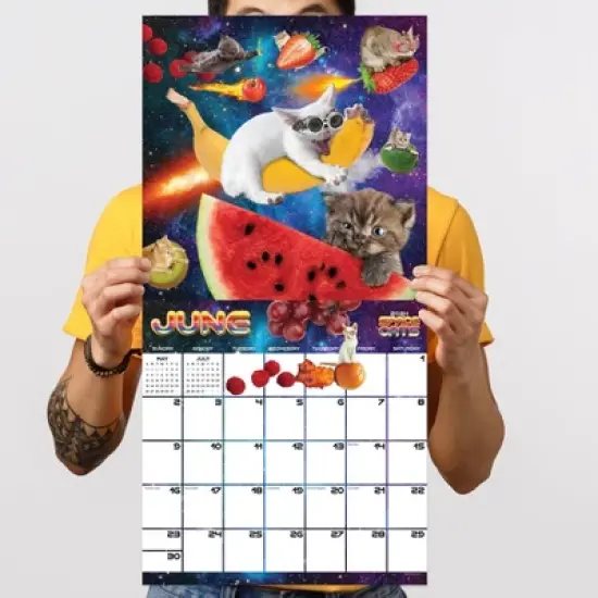 TF Publishing 2024 Wall Calendar 12"x12" Space Cats image {3}