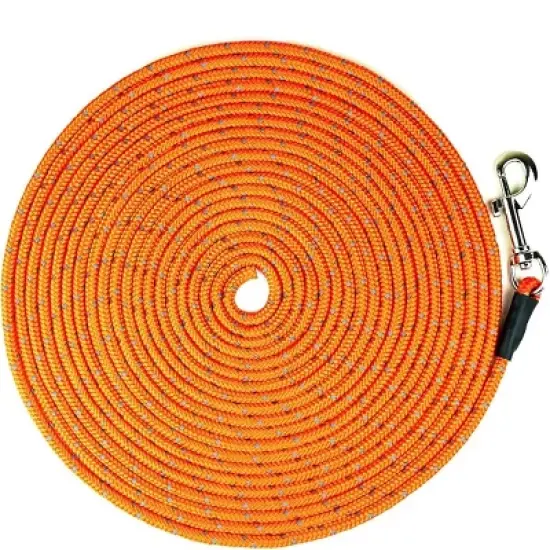 Mighty Paw Check Cord | Strong Reflective Dog Leash for Off-Leash Training image {1}