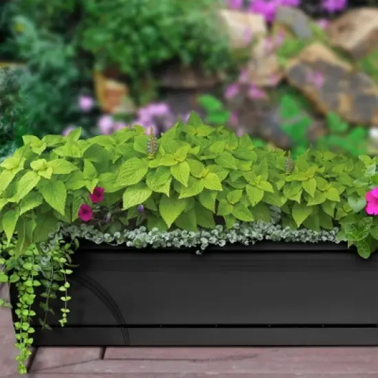 Southern Patio 36 Inch Medallion Hanging Windowsill Garden Box Planter image {4}