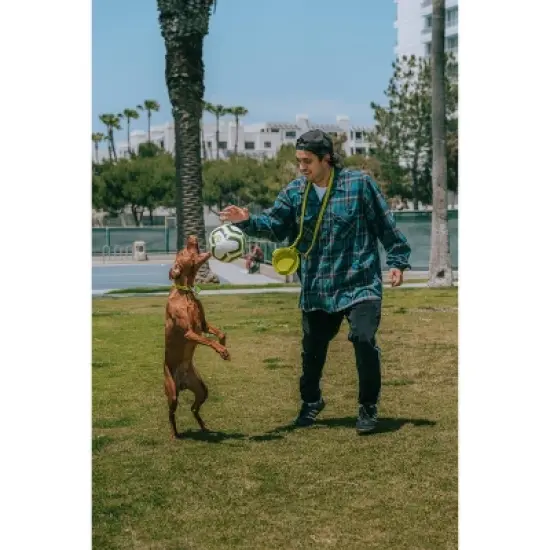 QALO TraQ Powered By Tile Dog and Cat Silicone Bluetooth Trackable Pet ID Tag - Green image {3}