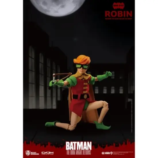 Warner Bros The Dark Knight Returns Robin (Dynamic 8ction Hero) image {1}