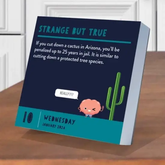 TF Publishing 2024 Daily Desktop Calendar 5.25"x5.25" Smarty Pants image {2}