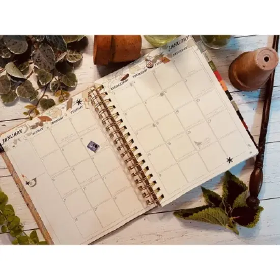 Wizarding World Harry Potter 2024 Weekly Planner 8"x9" Herbology image {8}