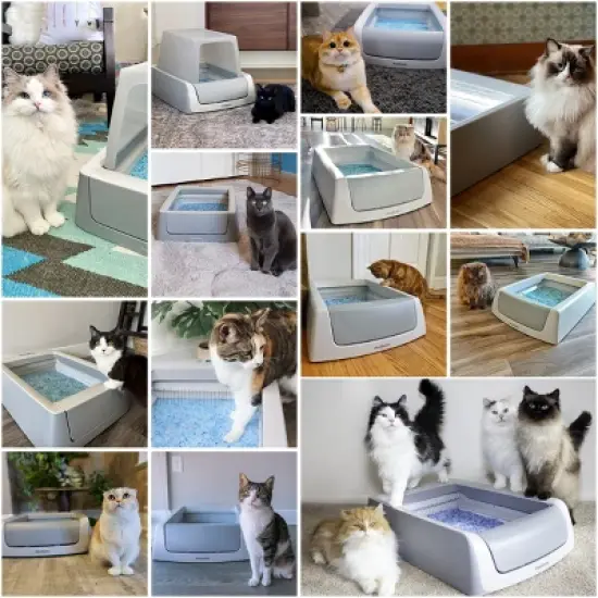 PetSafe ScoopFree Phone App Connected Smart Automatic Self-Cleaning Litter Box image {5}