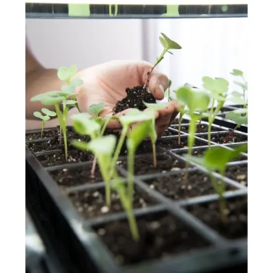 LED Stack-n-Grow Light Stand Base Unit Full Spectrum Grow Light for Seed Starting and Indoor Plants - Gardener's Supply Company image {3}