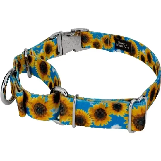 Country Brook Petz Martingale Dog Collar with Premium Buckle - Floral Collection image {3}